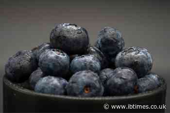 Blueberry Recall Upgraded To Highest Risk Over E. Coli as Fresh Food Safety Alert Sparks Alarm