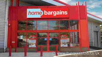 New Home Bargains Mrs Hinch £15 living room item keeps clutter ‘tucked away’