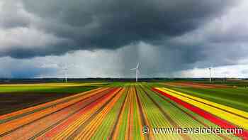 Code geel in groot deel van het land vanwege onweer, felle regenbuien en hagel