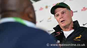 All Blacks v Springboks row simmers as Rassie Erasmus' behaviour questioned