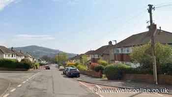 Baby dies in major emergency response incident in Abergavenny