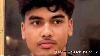'Kind' boy, 17, drowned on 'glorious' swimming trip to Lake District with friends