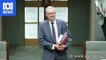 Tony Burke breaks silence on ex-ASIO agent's Bondi royal commission testimony