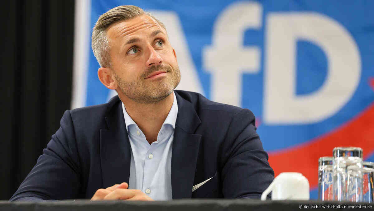 Wahlumfrage Sachsen-Anhalt: Steht die AfD vor einem Wahlsieg? So blickt das Ausland auf Sachsen-Anhalt