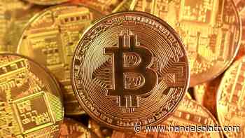 Krypto: Größter Wochengewinn seit zwei Jahren: Bitcoin legt deutlich zu und steigt über 77.000 Dollar
