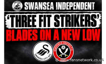 Swansea City : False reporting on Vitor Matos being unhappy with transfers dismissed