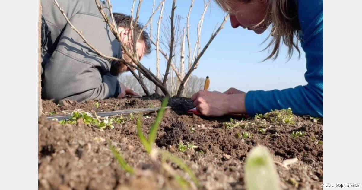 Rabobank sluit aan bij AgroforestryBlueprint voor verdere ontwikkeling agroforestry