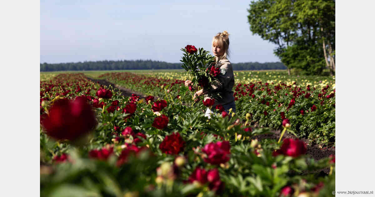 "Ik geloof niet in twee landbouwsystemen, maar in één systeem"