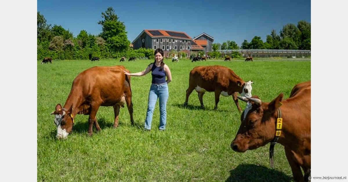 Warmonderhof onderdeel van Blue Zone Festival Experience in Flevoland