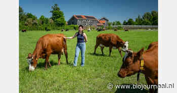 Warmonderhof onderdeel van Blue Zone Festival Experience in Flevoland