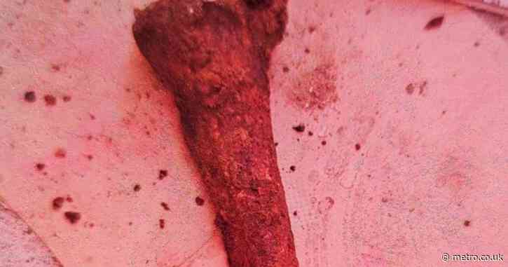 We thought we’d found dead pet under our patio – then we realised the bones were human