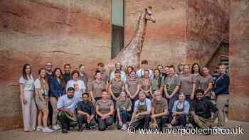 Chester restaurant where giraffes and zebras roam opens to the public