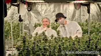Zwei Cannabisclubs liegen bald Tür an Tür – warum das kein Problem ist