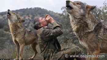 The boy raised by wolves, who spent his '12 most beautiful years' with a wolfpack before he was found living like an animal in rural Spain, passes away aged 80