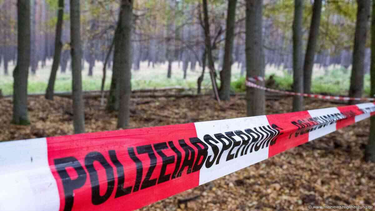 Waffendepot in Deutschland ausgehoben: Putin-Geheimdienst soll Attentate geplant haben