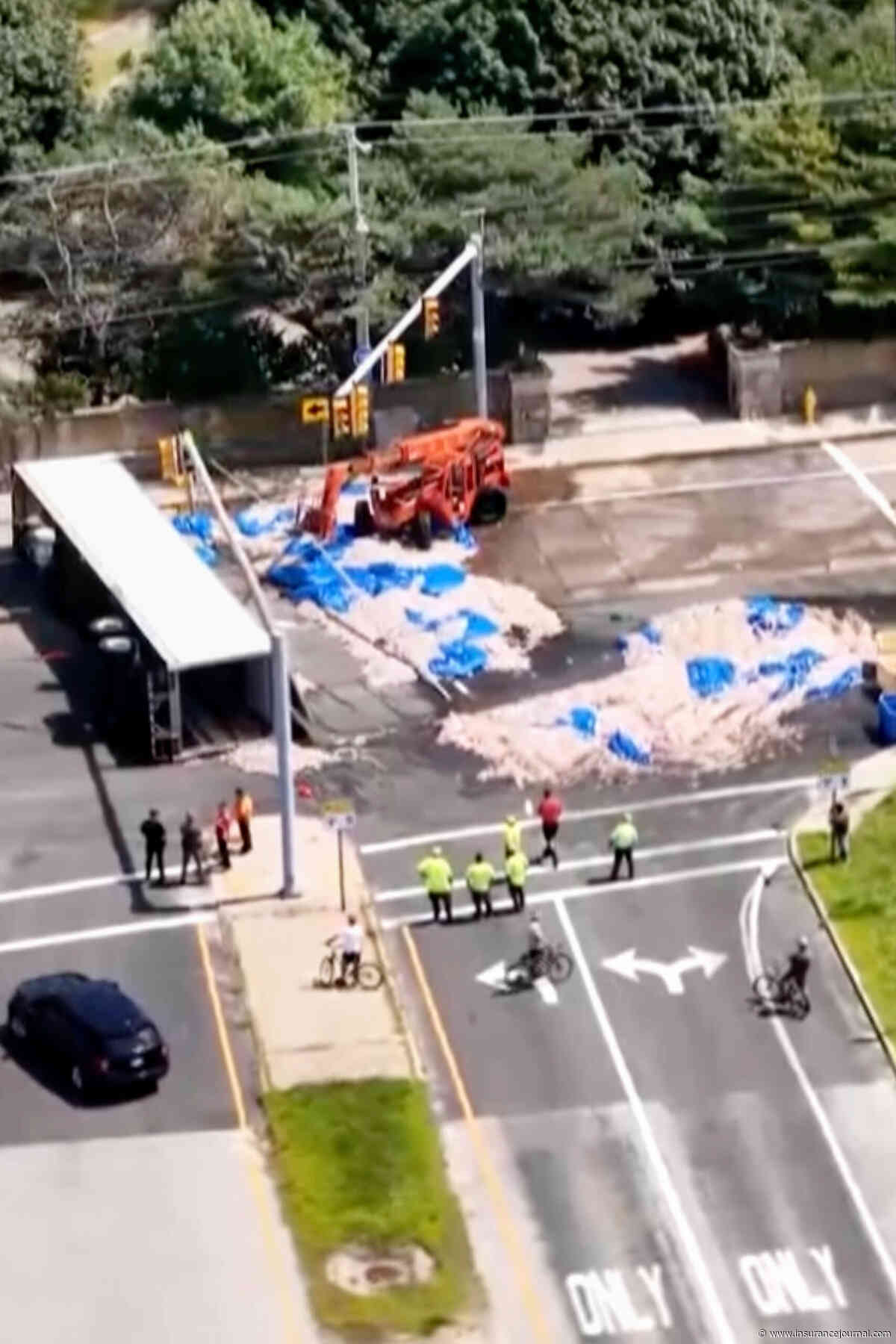 Rhode Spill: Summer Heat Turns Truckload of Spilled Squid Into Unappetizing Mess