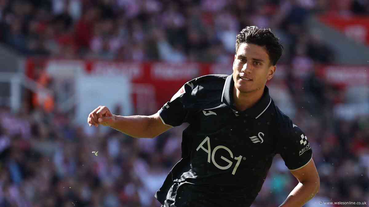 Stamenic ready to pay back Swansea City for support as he helps land new signing