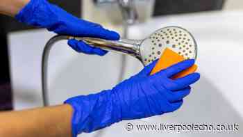 Remove shower limescale with 'best weapon' natural cleaner — no chemicals