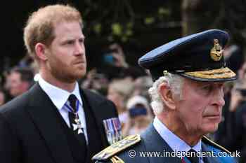 ‘Daddy’s boy’ Prince Harry was always going to return to UK but William will be furious, former royal butler says