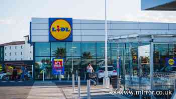 Lidl £20 furniture item looks just like £50 Dunelm and £90 Tesco versions out now