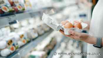 FSA tells some people to avoid some eggs and egg products in outbreak, full list
