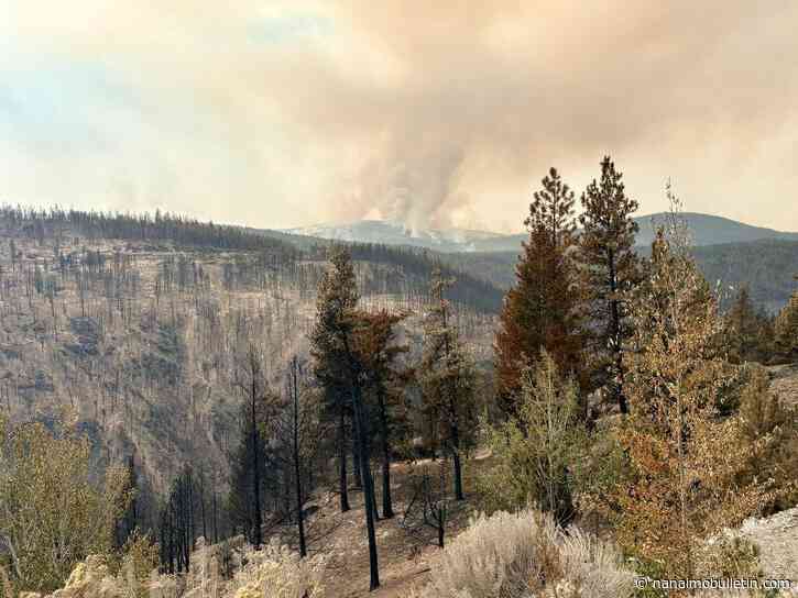‘A lot of work to be done’ at Bald Range wildfire in Summerland