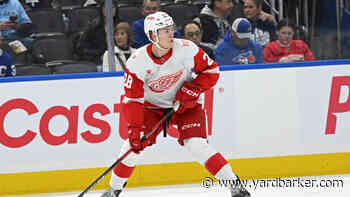 Red Wings Top Prospects & Their NHL ETAs