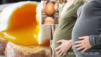 Young children and pregnant women told to avoid runny eggs over salmonella risk