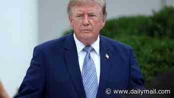 Trump's desperate move to stop looming midterm bloodbath as economic downturn tears through American households