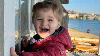 Martha's Vineyard toddler 'died calling out dad's name' after being left in COLD car by babysitter now charged with his murder