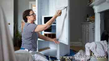 Make your room look bigger with DIY expert's easy £5 paint trick