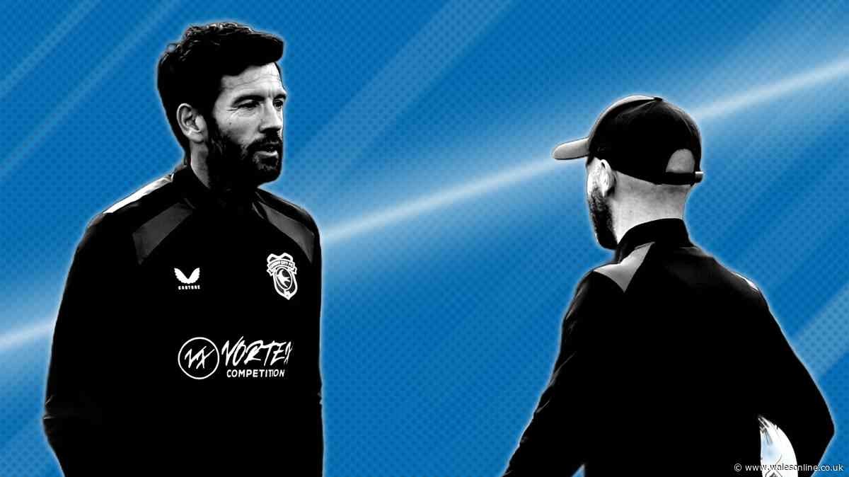 'Cardiff City excite me – but they have 10 days to prove their transfer plan works'