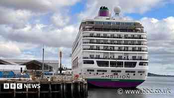 Search for cruise ship passenger feared to have fallen overboard