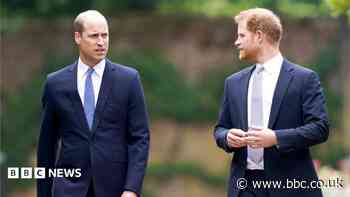 Will Harry's return heal deep-rooted rift with William?