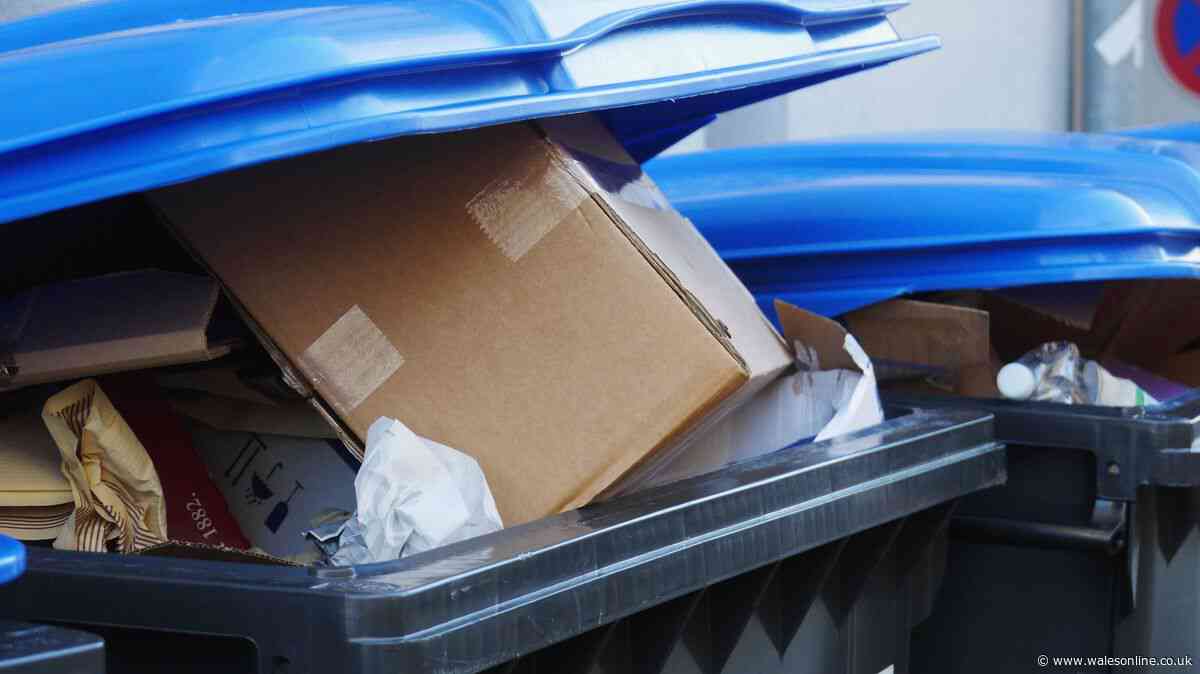 Binman explains what really happens when your wheelie bin lids won't shut