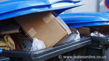 Binman explains what really happens when your wheelie bin lids won't shut