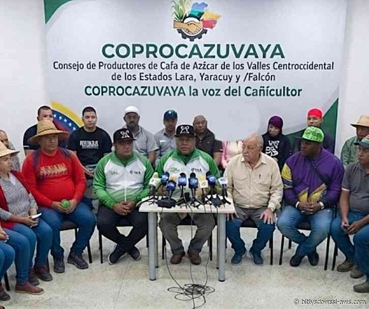 Cañicultores de Lara, Yaracuy y Falcón exigen la revisión urgente de licencias de importación de azúcar