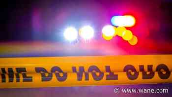 Fort Wayne man accused of shooting cousin in June