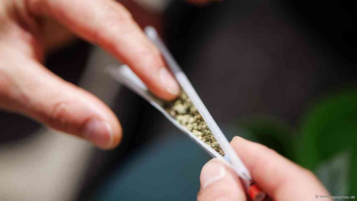 Wo Cannabis boomt und wo es Probleme gibt