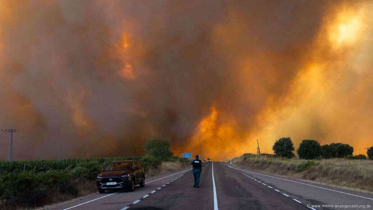 Europas Waldbrandfläche könnte bis 2100 um bis zu 192 Prozent zunehmen