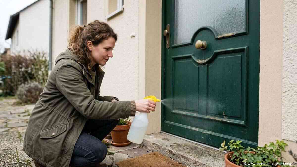 Warum wird es empfohlen, die Haustür mit Essig, Flüssigwaschmittel und Backpulver zu sprühen?