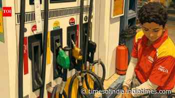 College by day, petrol pump by night: The young woman who works till 10 PM to pay her fees