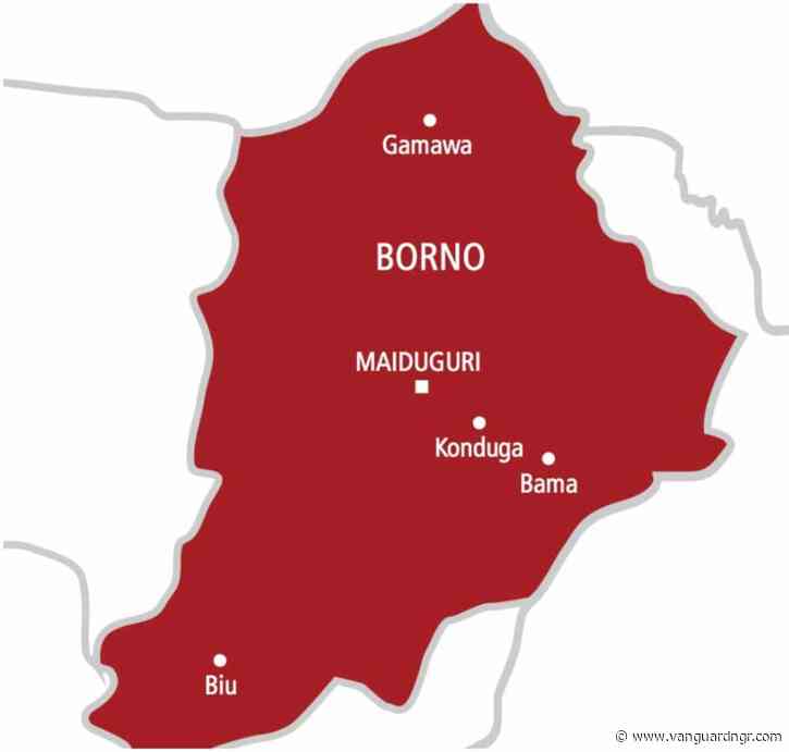 100 days in captivity: Borno families demand rescue of abducted children
