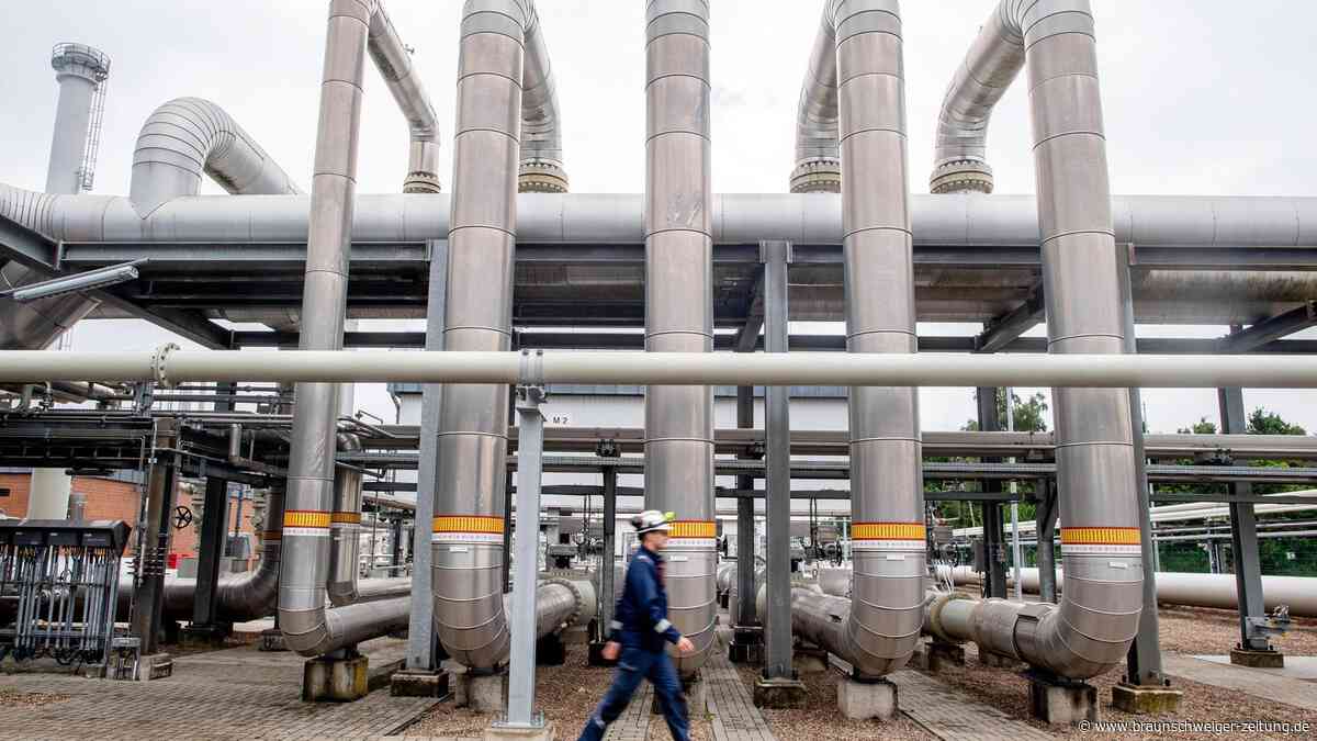 Gasspeicher nicht voll genug? Expertin nennt Worst-Case-Szenario
