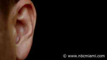Woman bites off piece of husband's ear during argument on I-95, authorities say