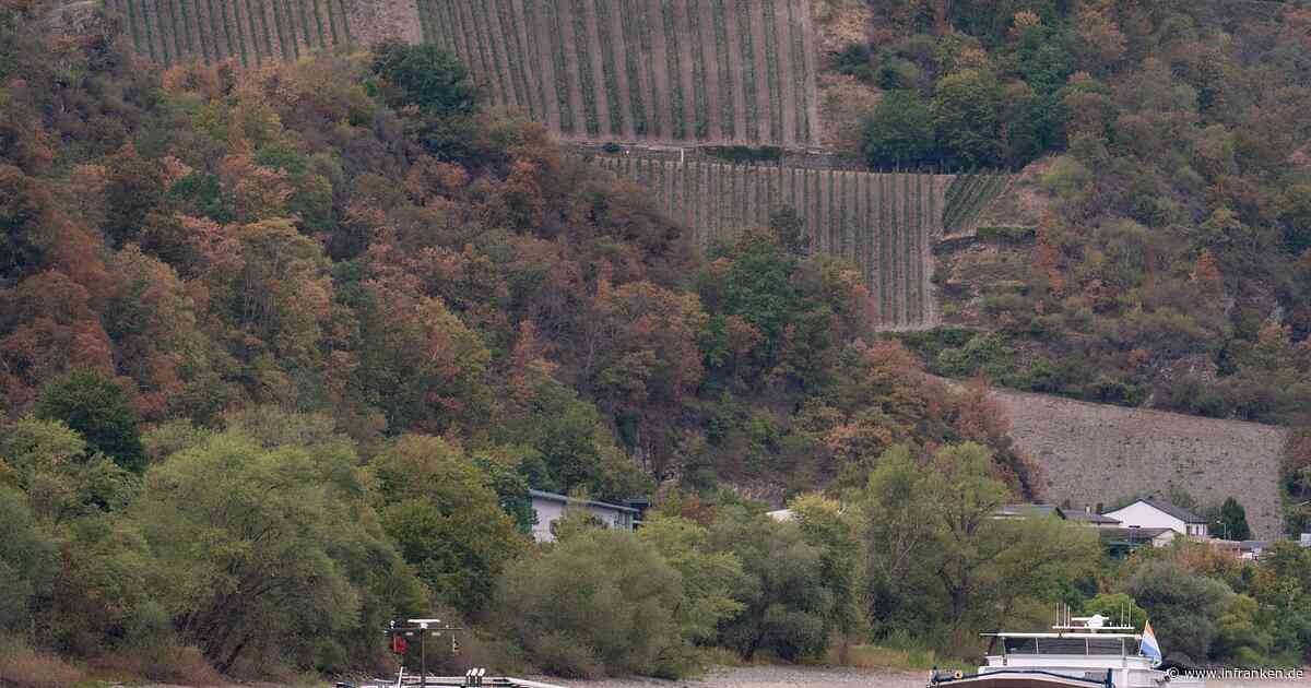 Rhein-Pegelstände steigen langsam