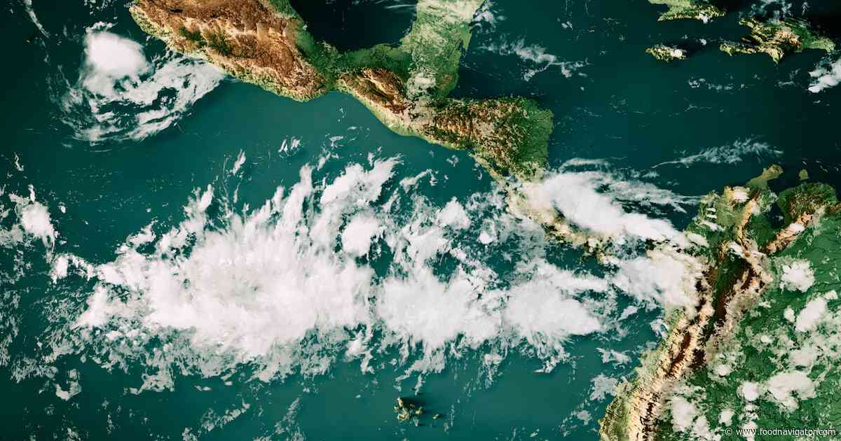 El Niño 2026 may be ‘largest since the 19th century’