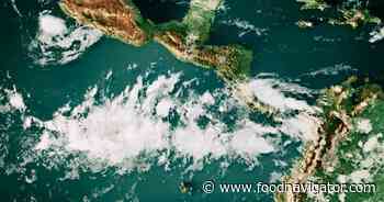 El Niño 2026 may be ‘largest since the 19th century’