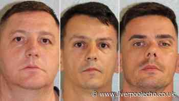 Three men admit trying to tunnel their way into jewellery shop for burglary