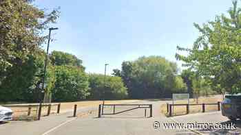Murder probe launched as human remains found near Padstow Walk, Feltham